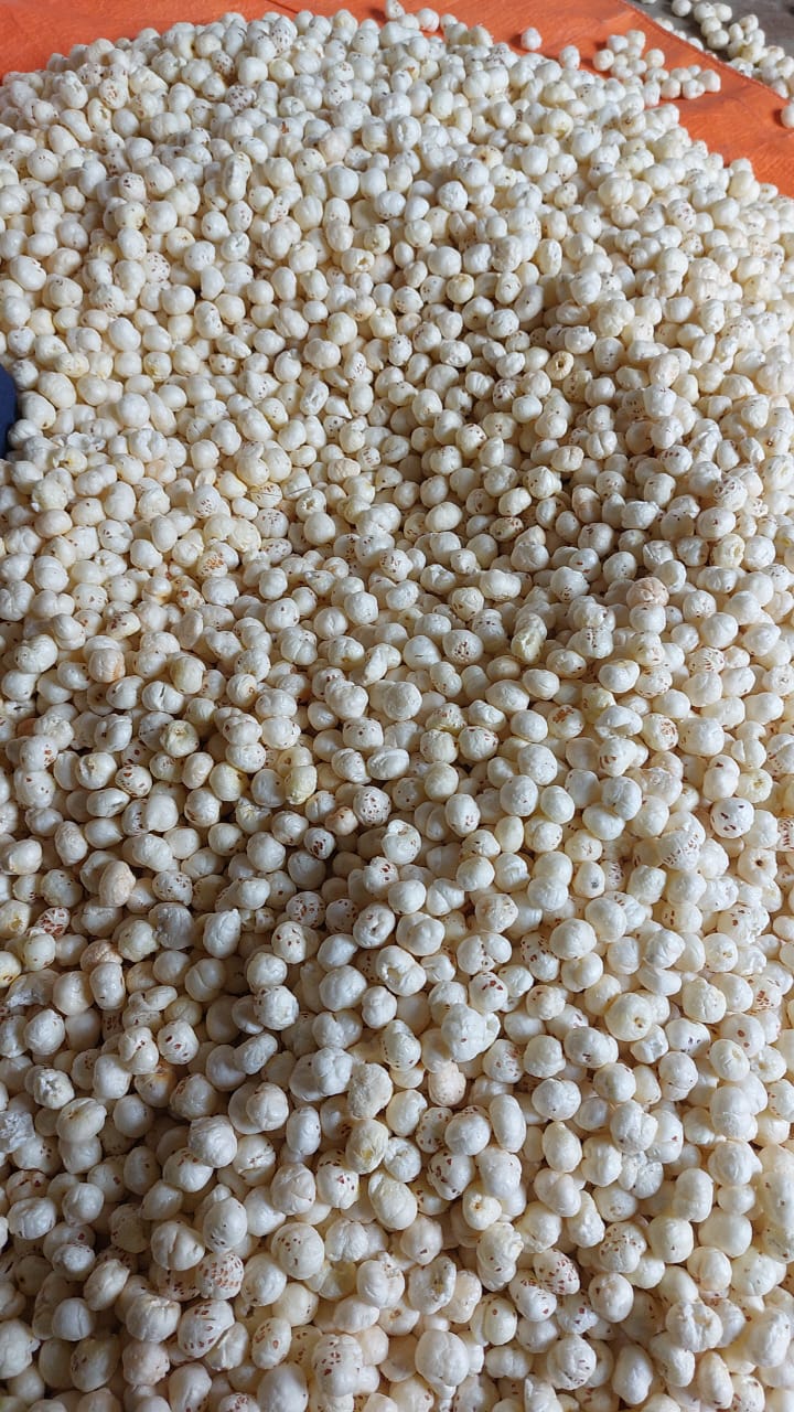 4+ Makhana